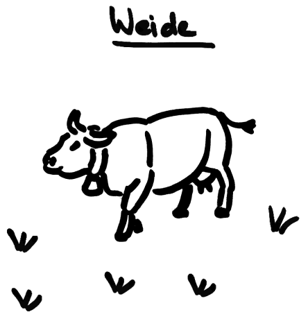 Kuh auf der Weide